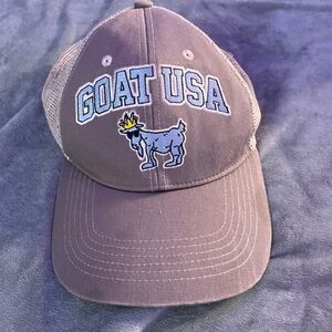 Brown Dog Cap